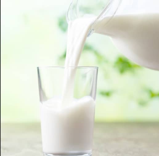 فلوچارت جریان تولید شیر پاستوریزه